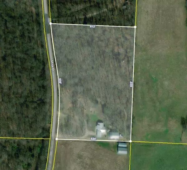 Neosho, MO 64850,Tbd Mink