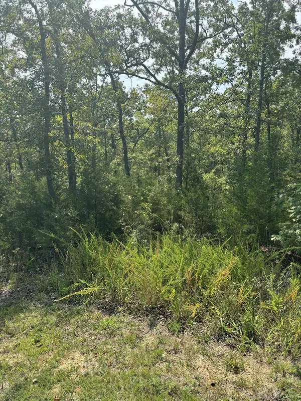 Branson West, MO 65737,Lot #3 Fox Hollow RD