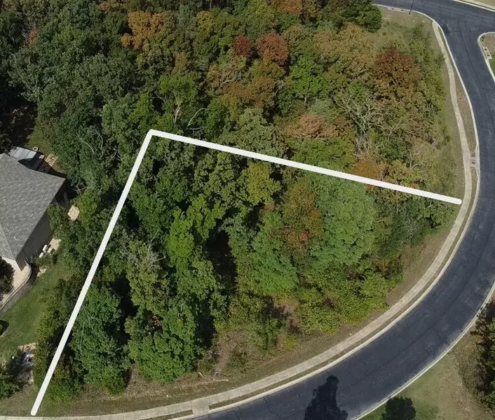 Tbd Spyglass DR, Branson, MO 65616