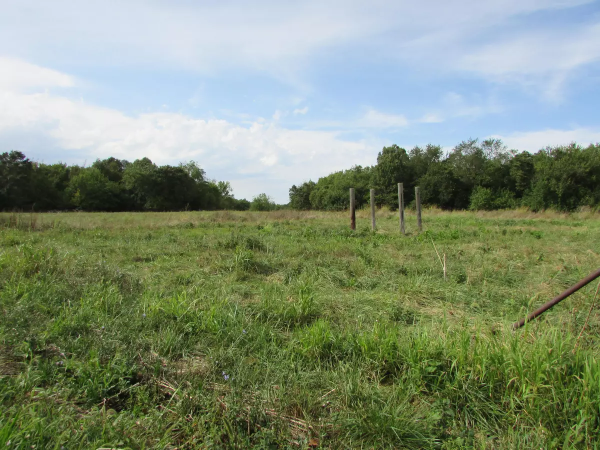 Billings, MO 65610,Tr 1 N Metzletein RD