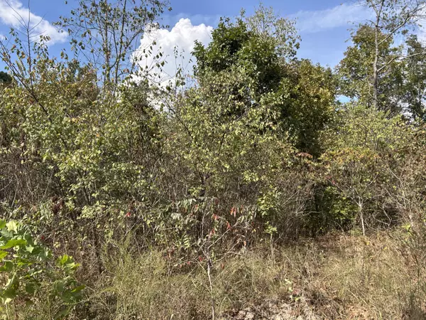 Ava, MO 65608,Tbd 7885 County Road 306 Pvt Drive-B