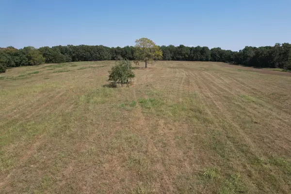 Strafford, MO 65757,000 N Farm Road 215 #Parcel 1