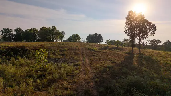 Mammoth Spring, AR 72554,Tbd Bamber Street