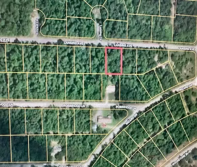 Horseshoe Bend, AR 72512,207 E Lansing