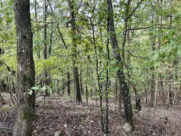 Fremont, MO 63941,000 Carter 146