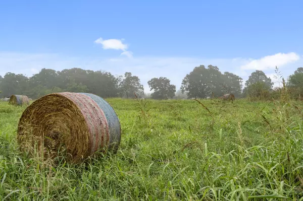 Clever, MO 65631,7830 Snow Drop AVE