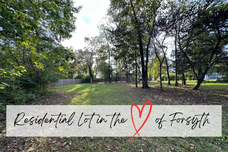 311 S Hickory ST, Forsyth, MO 65653