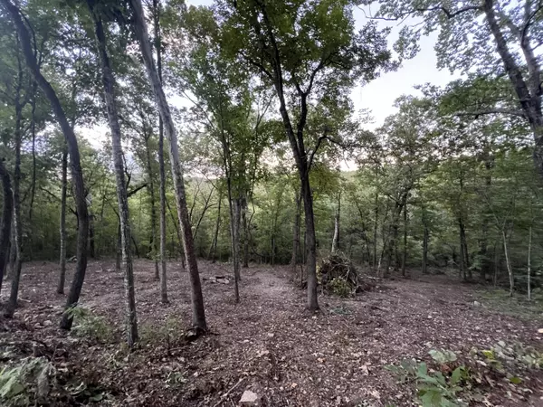 Ridgedale, MO 65739,190 Deer Dr
