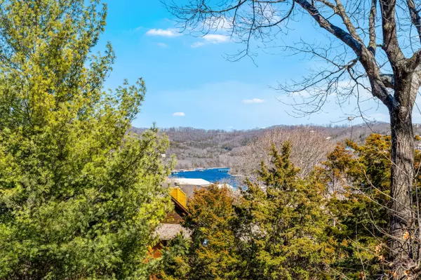 Branson, MO 65616,95 Leaning Tree Circle #8
