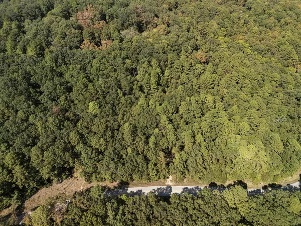 Norfork, AR 72658,000 Dwelle RD