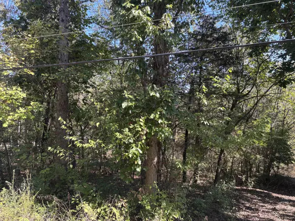 Cherokee Village, AR 72529,Tbd W Lakeshore Drive