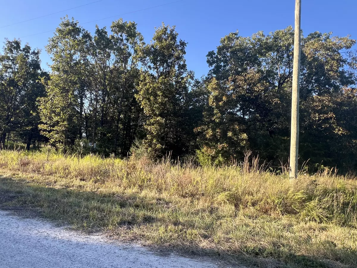 Fair Grove, MO 65648,40 Buggy DR