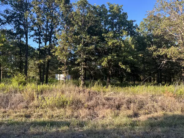 Fair Grove, MO 65648,40 Buggy DR