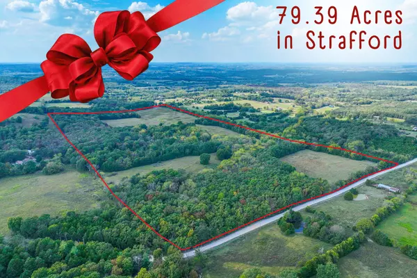 S21t30r19 White Clover RD, Strafford, MO 65757