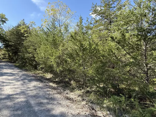 Lampe, MO 65681,Lot 23 Daisy LN