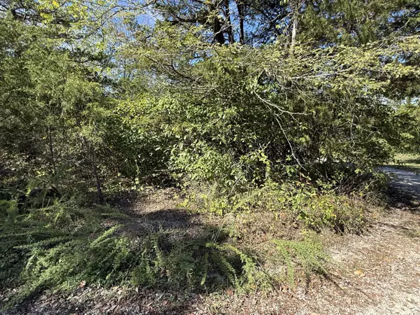 Lot 23 Daisy LN, Lampe, MO 65681