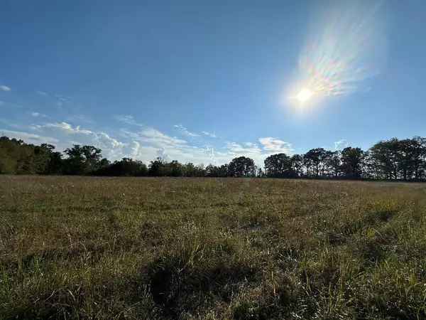 Mountain Grove, MO 65711,000 N HWY