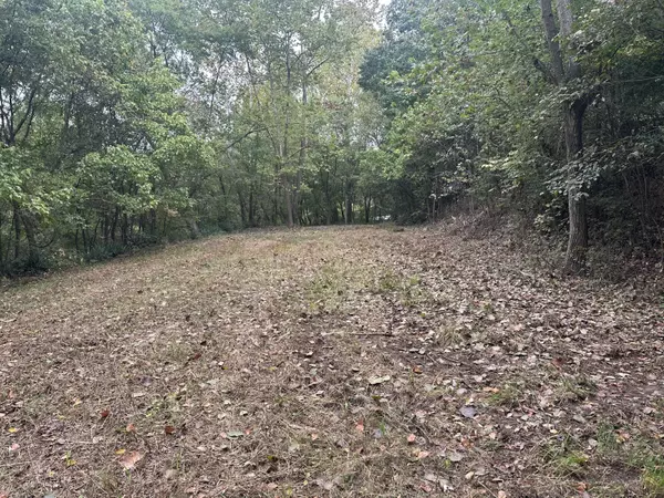 Southwest City, MO 64863,303 Liberty RD