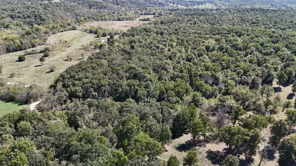 Marshfield, MO 65706,0000 Grape Vine