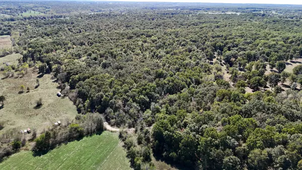 Marshfield, MO 65706,0000 Grape Vine