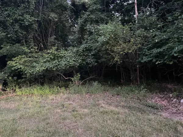 Lake Ozark, MO 65049,Lot 87 Carol RD #Four Seasons