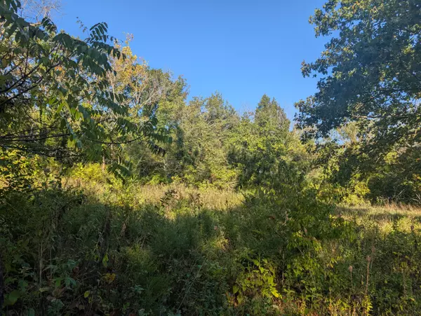 Shell Knob, MO 65747,19,20,21 Turkey Mtn. Estates #2