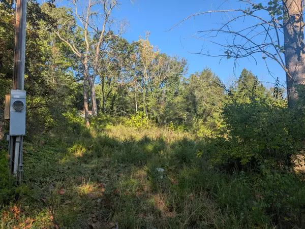 Shell Knob, MO 65747,19,20,21 Turkey Mtn. Estates #2