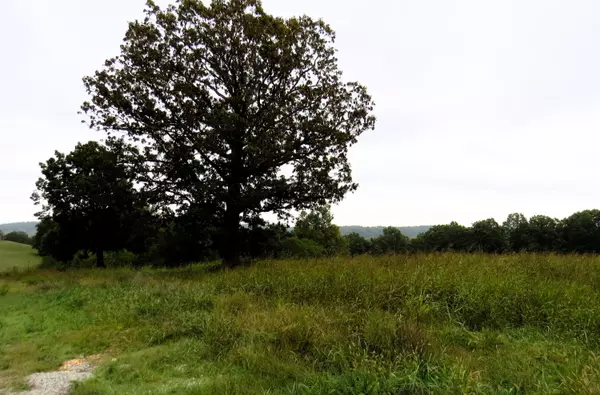 Noel, MO 64854,000 Mountain Ridge DR