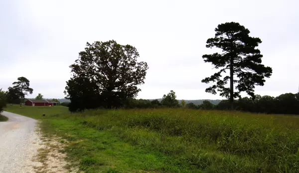 Noel, MO 64854,000 Mountain Ridge DR