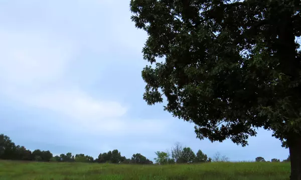 Noel, MO 64854,000 Mountain Ridge DR