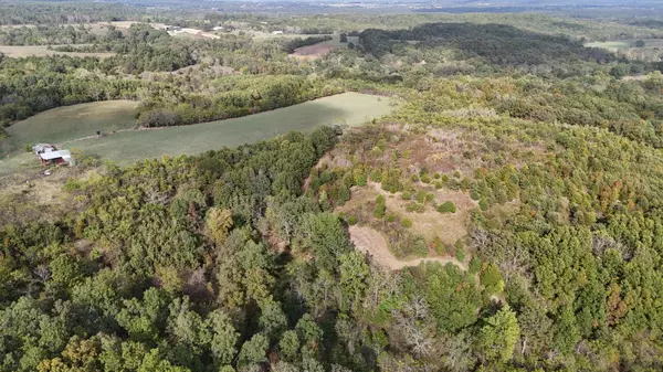 Seymour, MO 65746,0000 Old Jericho RD