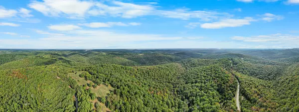 Hollister, MO 65672,000 Pine Top RD