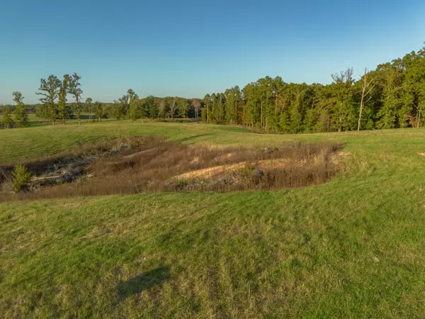 Licking, MO 65542,000 Dixon RD