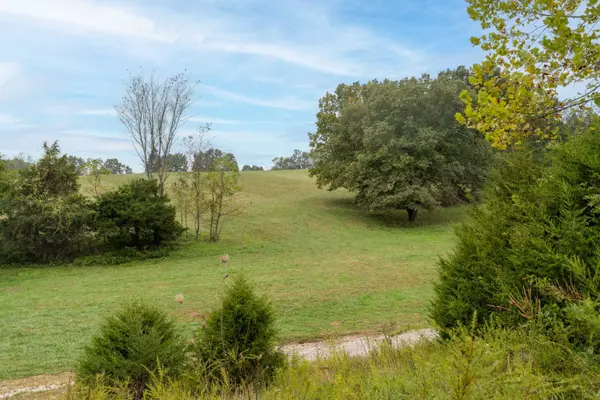 Crane, MO 65633,537 Arliss DR