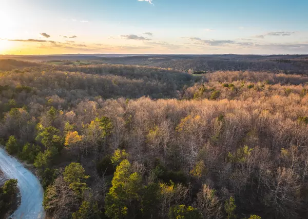 Cabool, MO 65689,000 Sargent RD