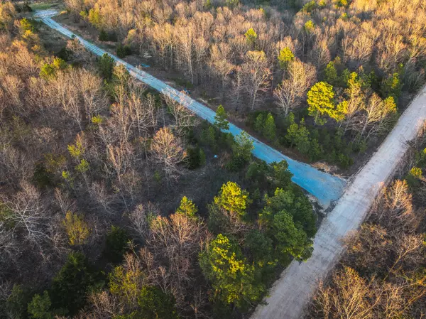 Cabool, MO 65689,000 Sargent RD