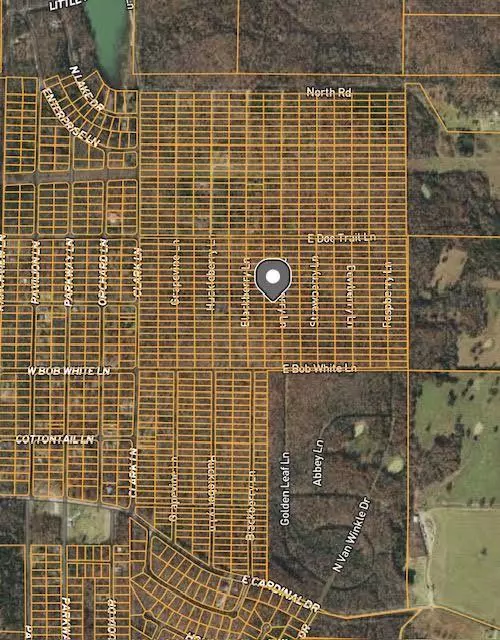 Horseshoe Bend, AR 72512,1306 Blackberry LN