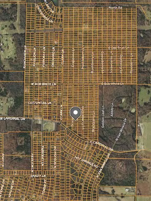 1108 Grapevine LN, Horseshoe Bend, AR 72512