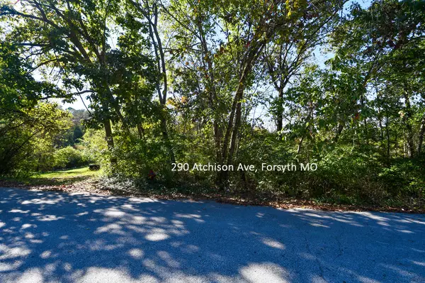Forsyth, MO 65653,290 Atchison AVE