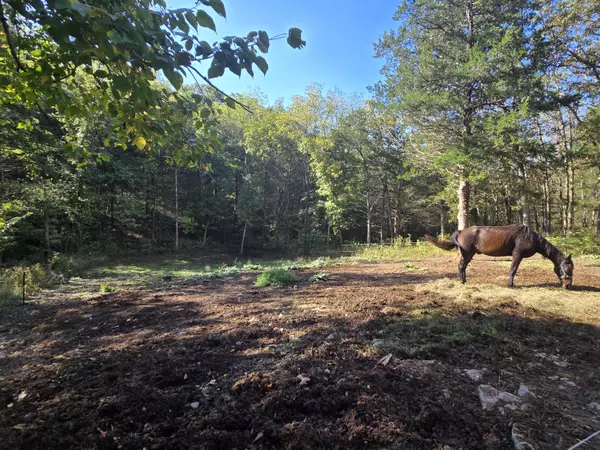 Urbana, MO 65767,26756 County Road 365c