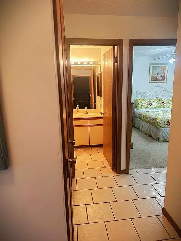 Branson, MO 65616,3 Treehouse LN #3