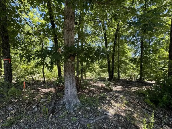 Sparta, MO 65753,Tbd State Highway 14