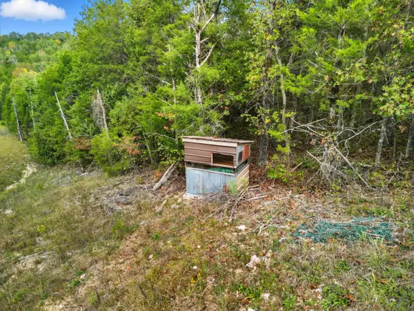 Gainesville, MO 65655,Tbd Tall Timbers TRL