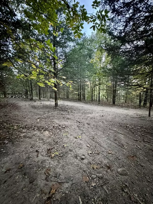 Mansfield, MO 65704,000 County Road 110