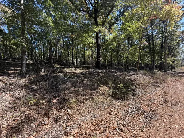 Anderson, MO 64831,Lot #2 Builders Ln
