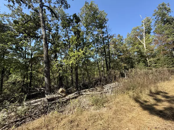 Anderson, MO 64831,Lot #3 Builders Ln