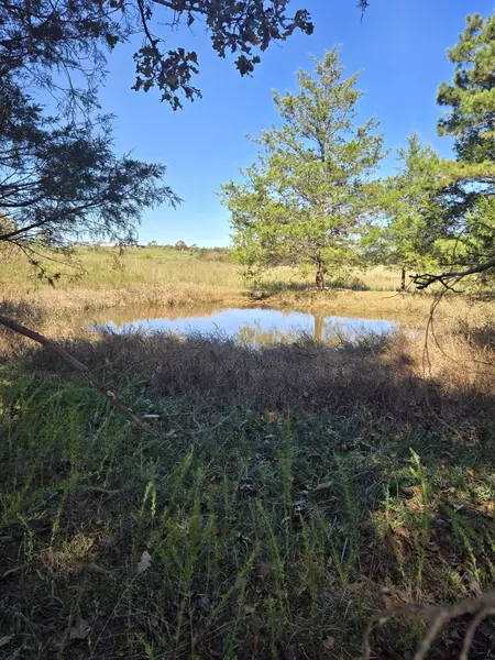 000 County Road 455, Birch Tree, MO 65438