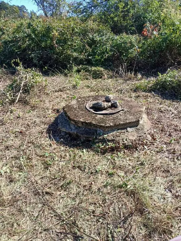 Birch Tree, MO 65438,000 County Road 455