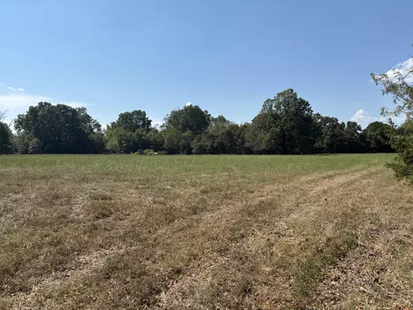 Protem, MO 65733,000 Lightning Springs Road