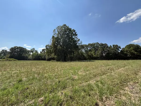 Protem, MO 65733,000 Lightning Springs Road